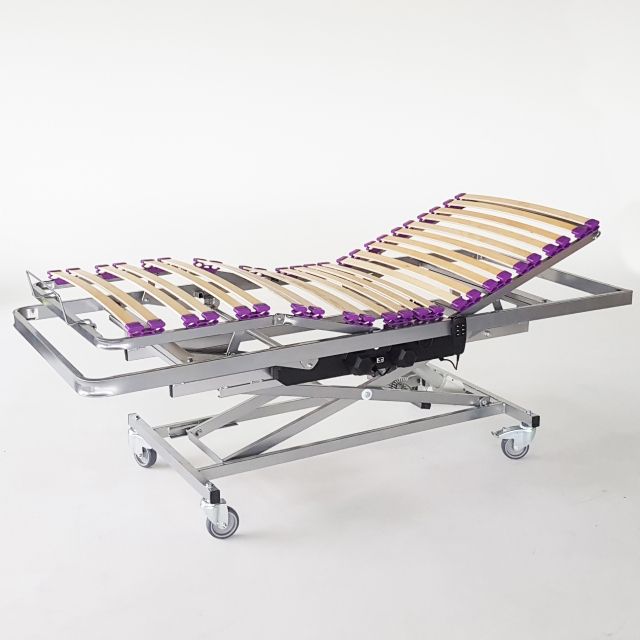 Classic Electric Bed